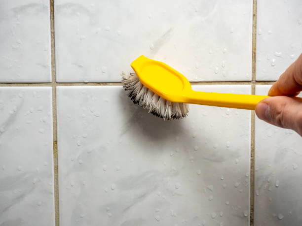 Best Certified Mold Removal  in Horn Lake, MS