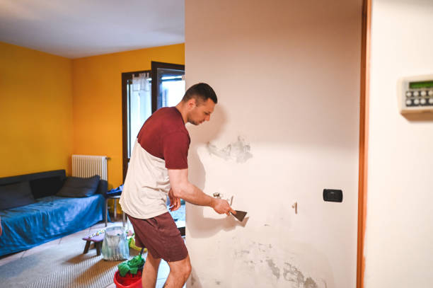 Reliable Horn Lake, MS Mold Removal Solutions